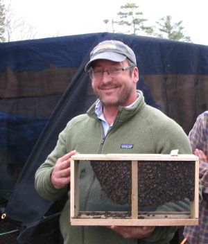 Bees-for-Sale